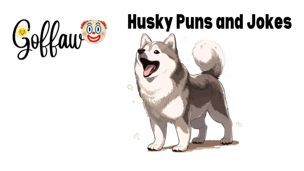 Husky Puns and Jokes