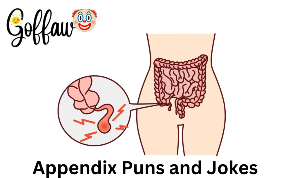 Appendix Puns and Jokes