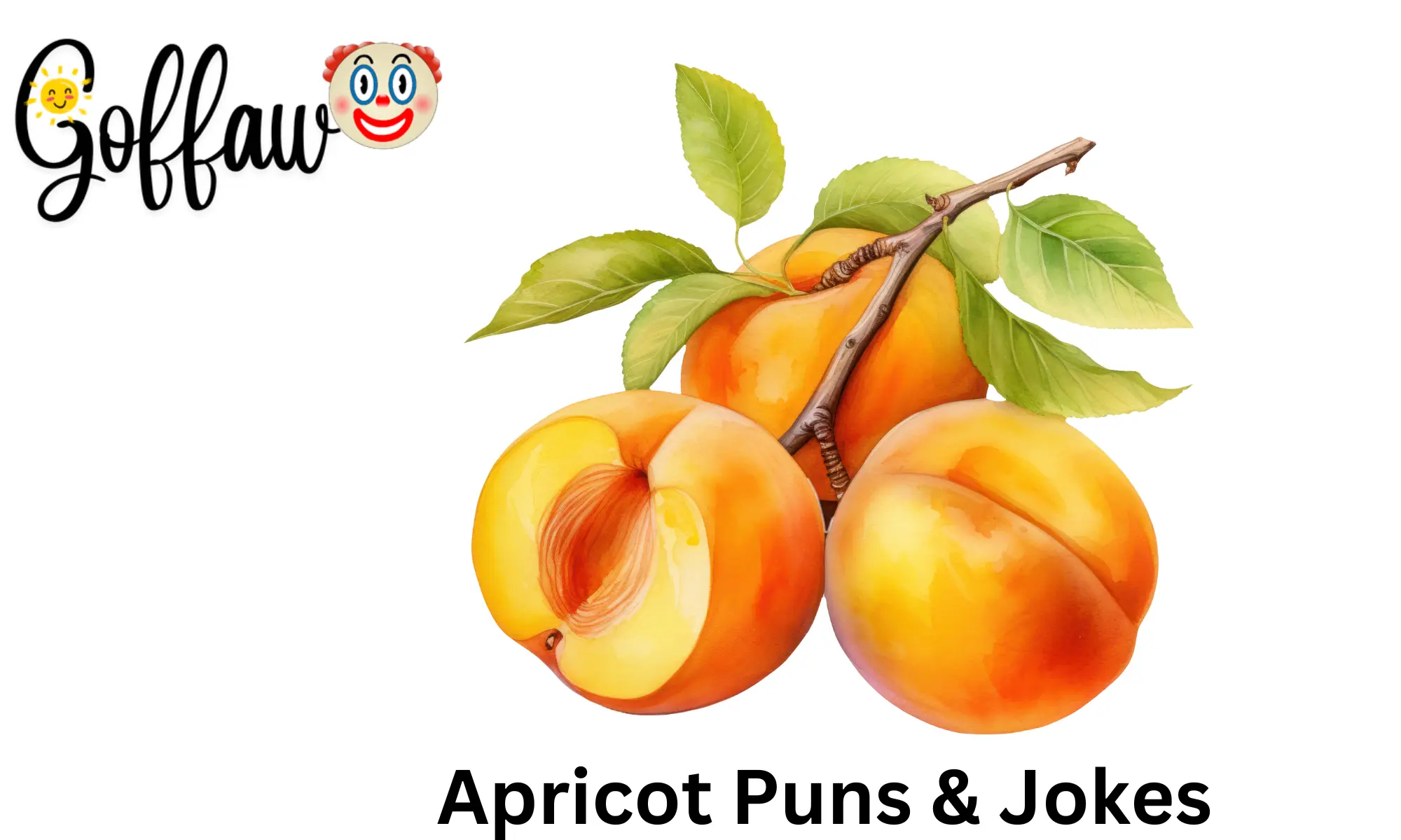 180 Juicy Apricot Puns For A Tangy Humor Twist For 2025 180 Juicy Apricot Puns For A Tangy Humor Twist For 2025