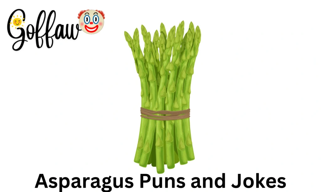 Asparagus Puns and Jokes