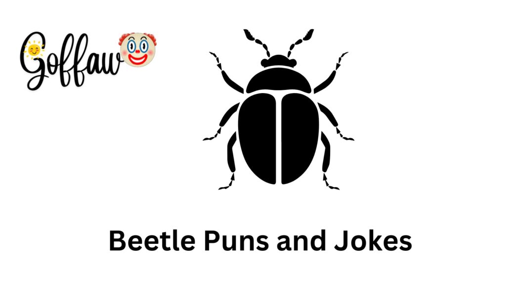 Beetle Puns and Jokes