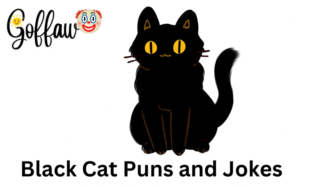 Black Cat Puns and Jokes