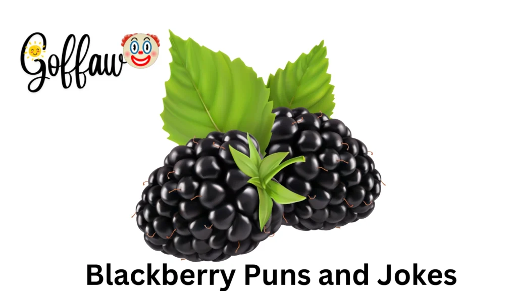Blackberry Puns and Jokes