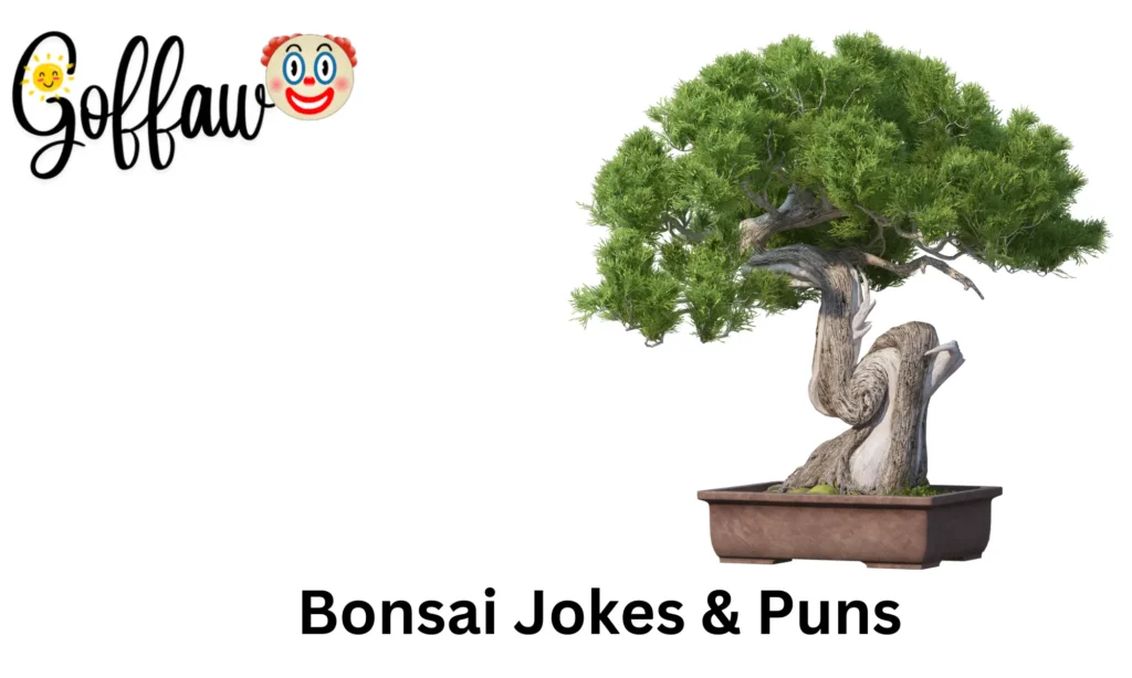 Bonsai Jokes & Puns
