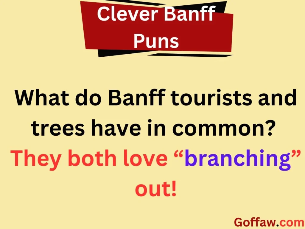 Clever Banff Puns