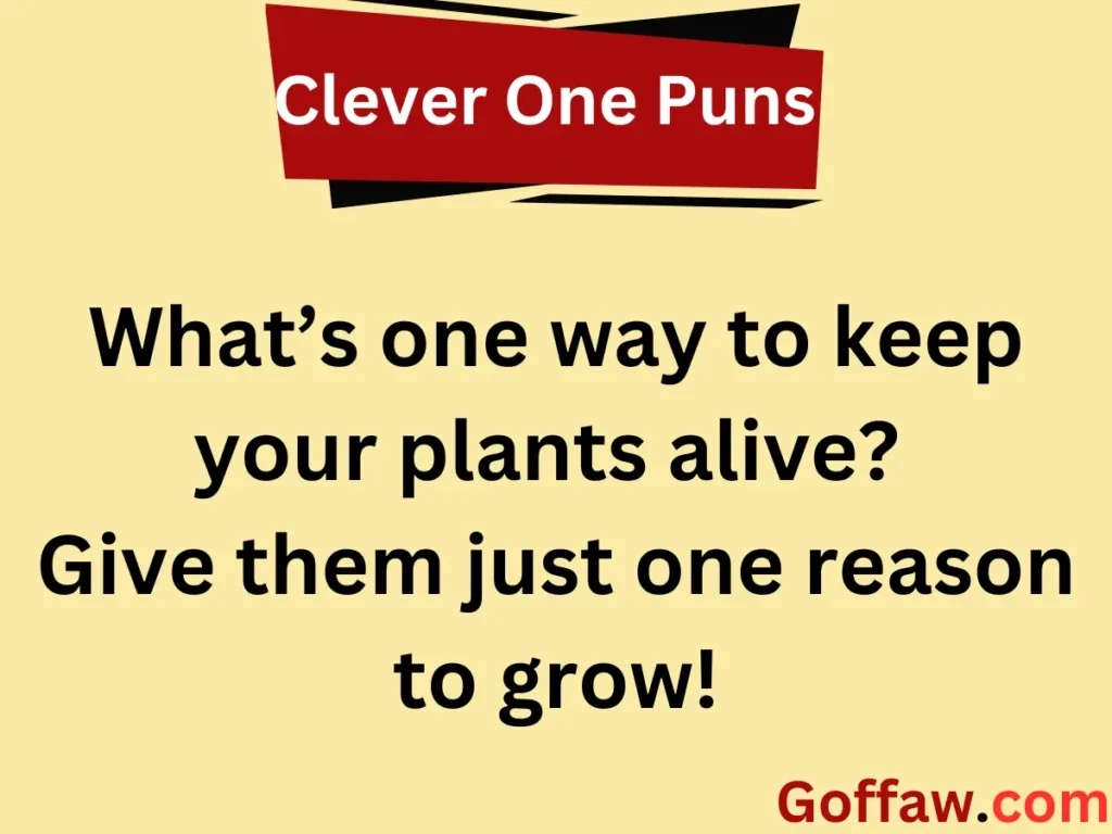 Clever One Puns