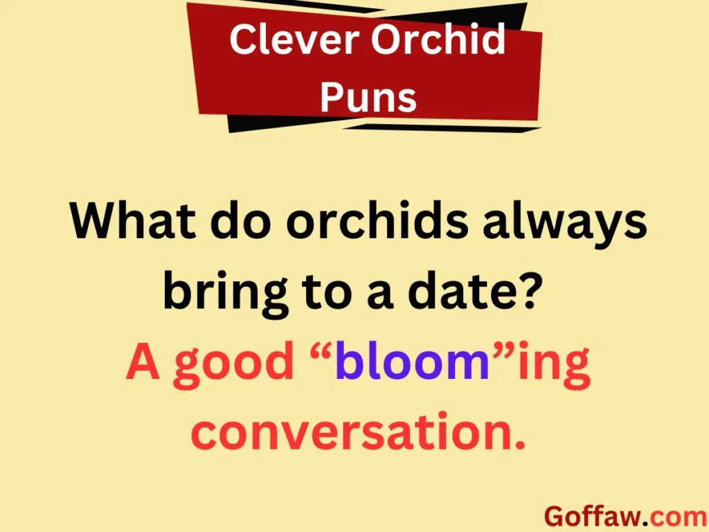 Clever Orchid Puns