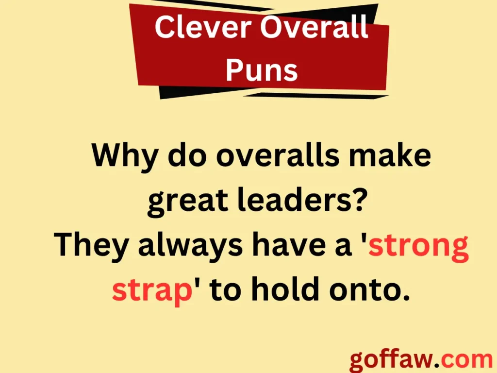 Clever Overall Puns