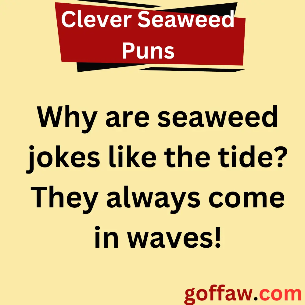 Clever Seaweed Puns