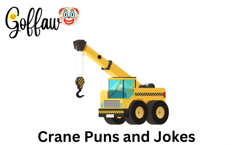 Crane Puns and Jokes