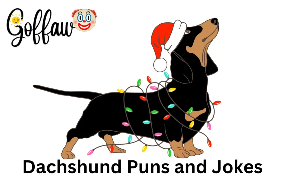 Dachshund Puns and Jokes