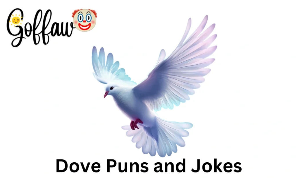 Dove Puns and Jokes