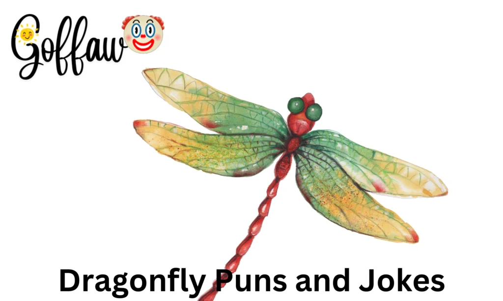 Dragonfly Puns and Jokes