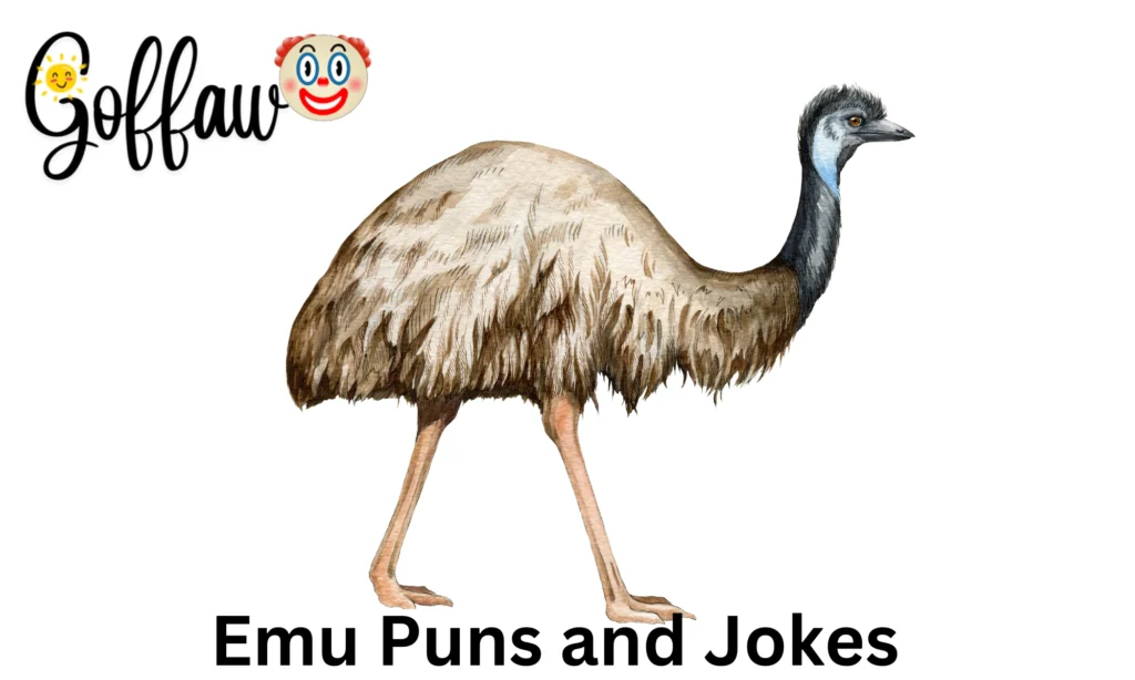 Emu Puns and Jokes