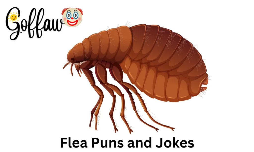 Flea Puns and Jokes