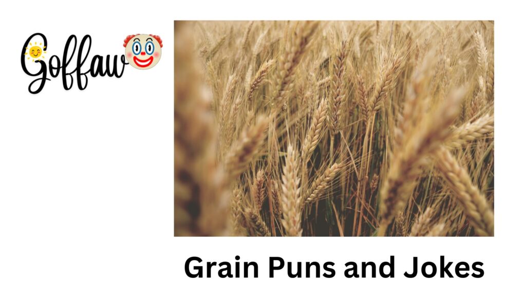 grain-puns-and-jokes