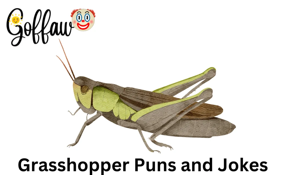 Grasshopper Puns and Jokes