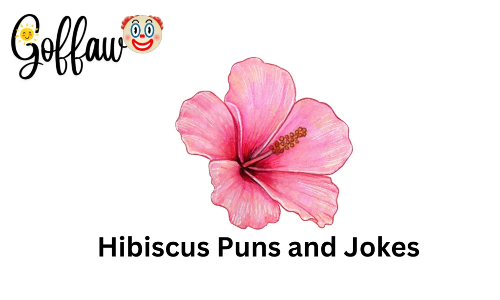 Hibiscus Puns and Jokes