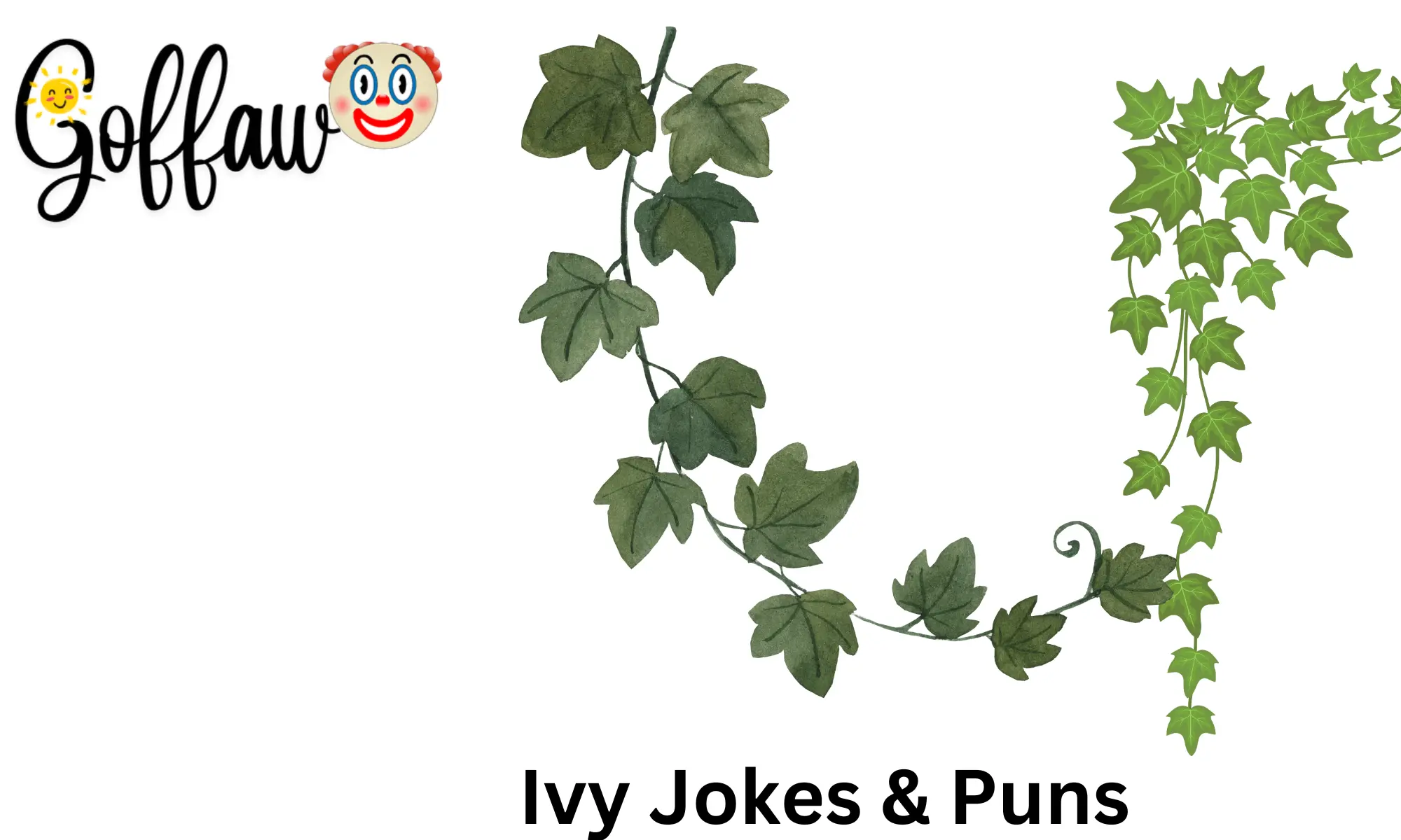 180 Green Your Day With Ivy Jokes Puns For 2025 180 Green Your Day With Ivy Jokes Puns For 2025