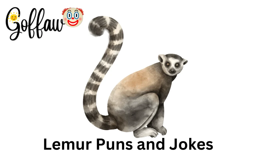 Lemur Puns and Jokes