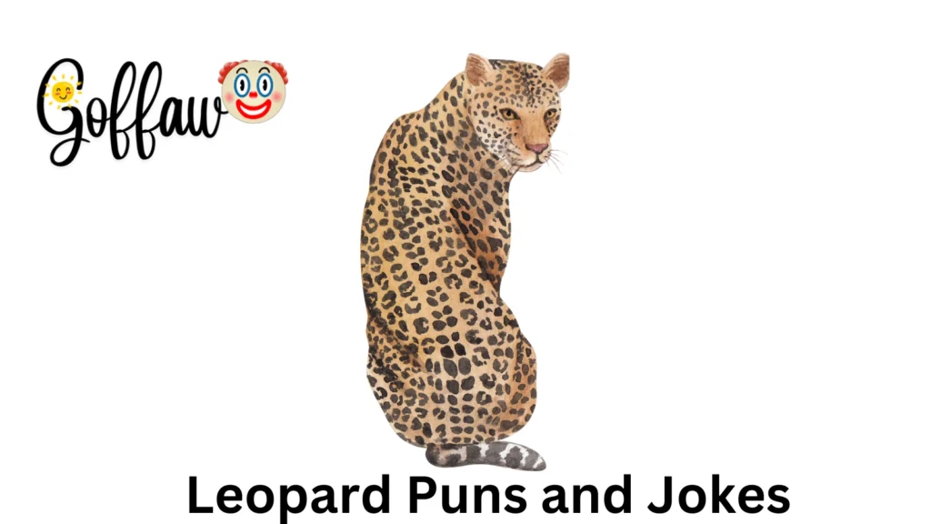 Leopard Puns and Jokes