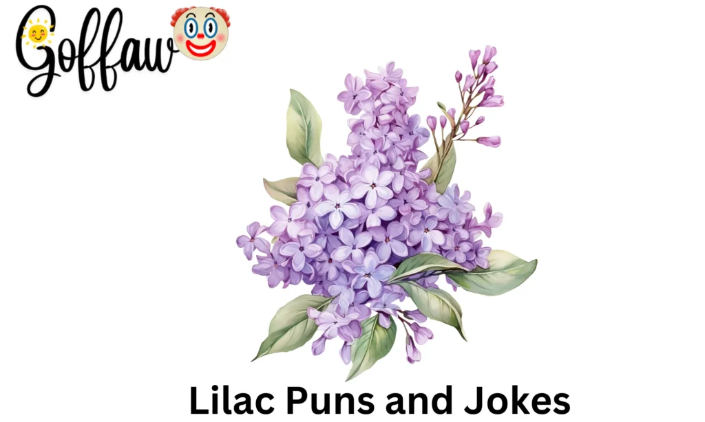 Lilac Puns and Jokes