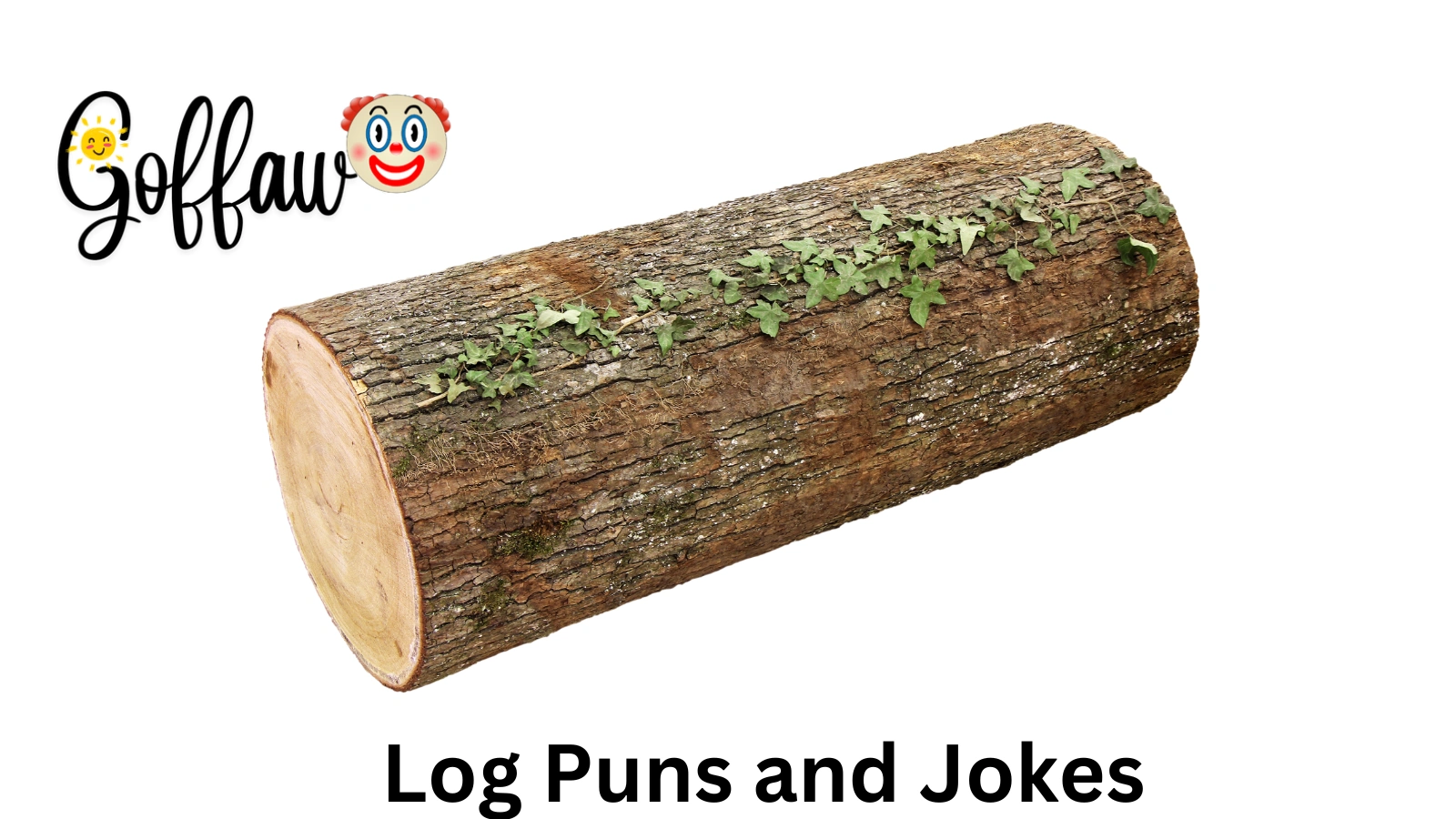 Log Puns and Jokes
