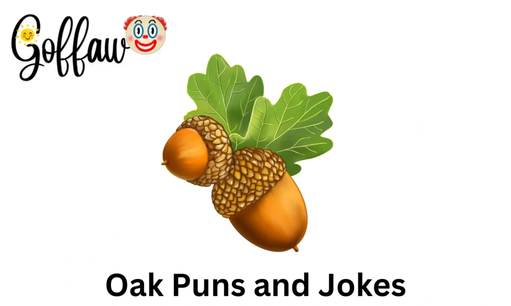 Oak Puns and Jokes