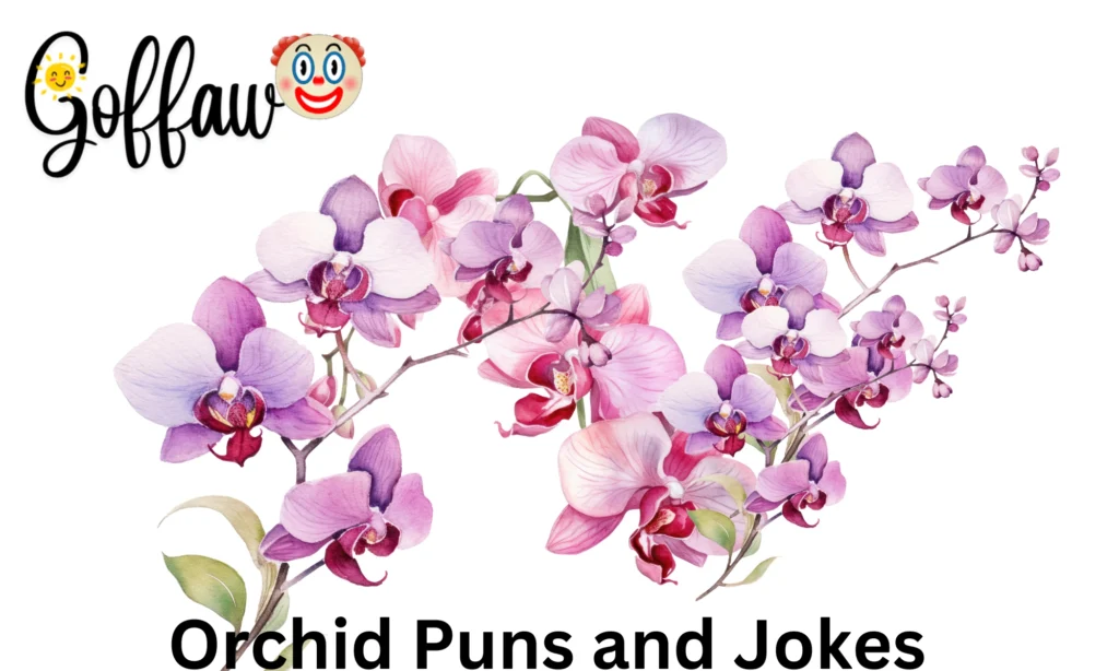 Orchid Puns and Jokes
