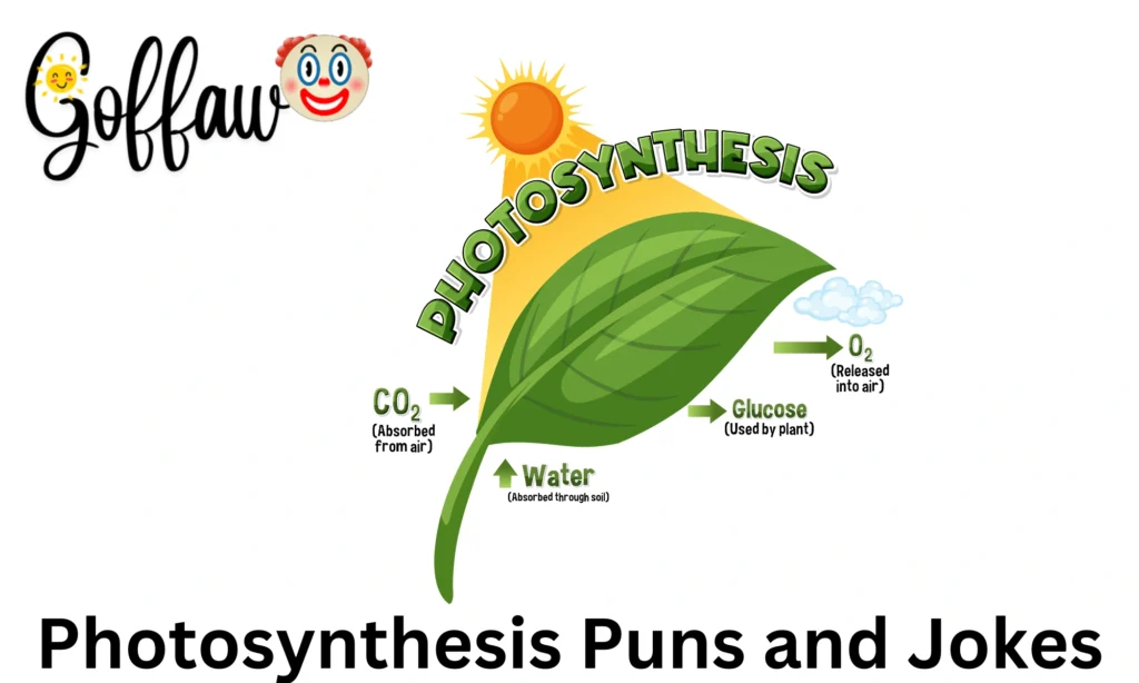 Photosynthesis Puns and Jokes