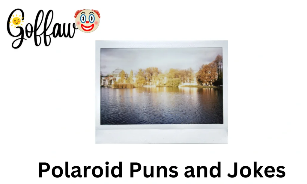 Polaroid Puns and Jokes