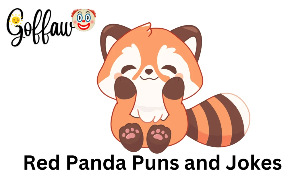 Red Panda Puns and Joke