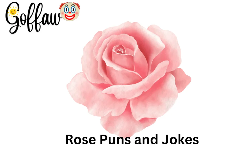Rose Puns and Jokes