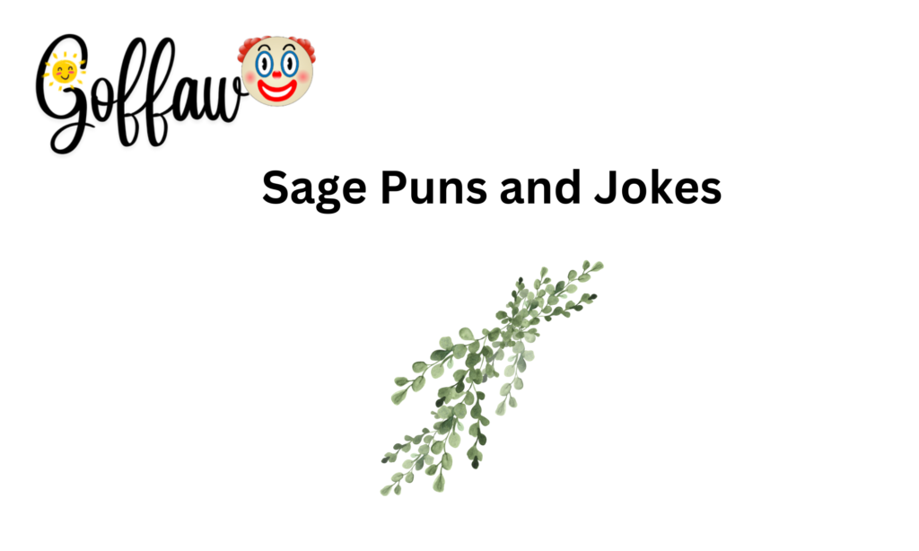 Sage Puns and Jokes