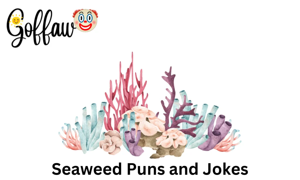 Seaweed Puns and Jokes