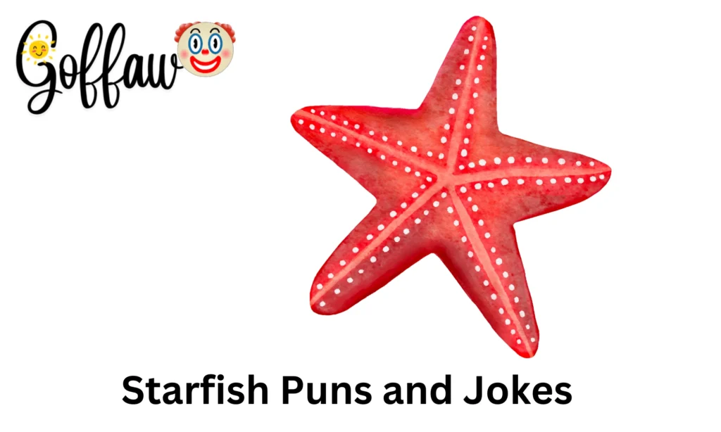 Starfish Puns and Jokes