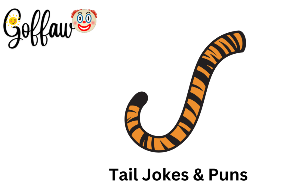 Tail Jokes & Puns