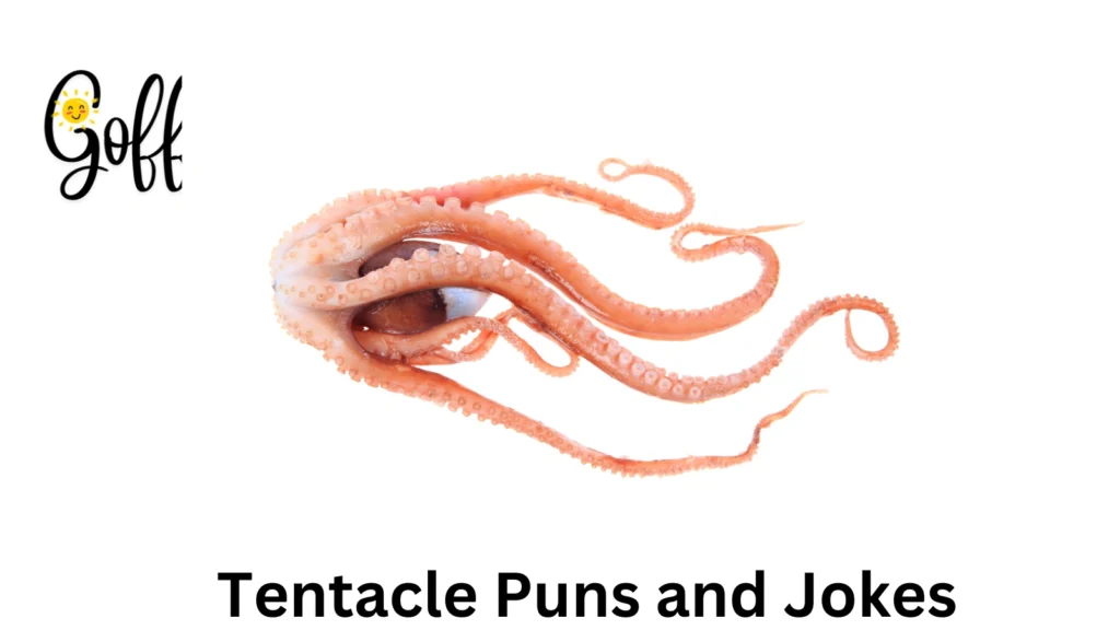 Tentacle Puns and Jokes