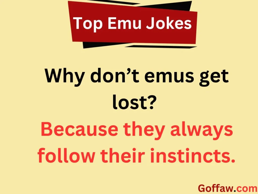 Top Emu Jokes