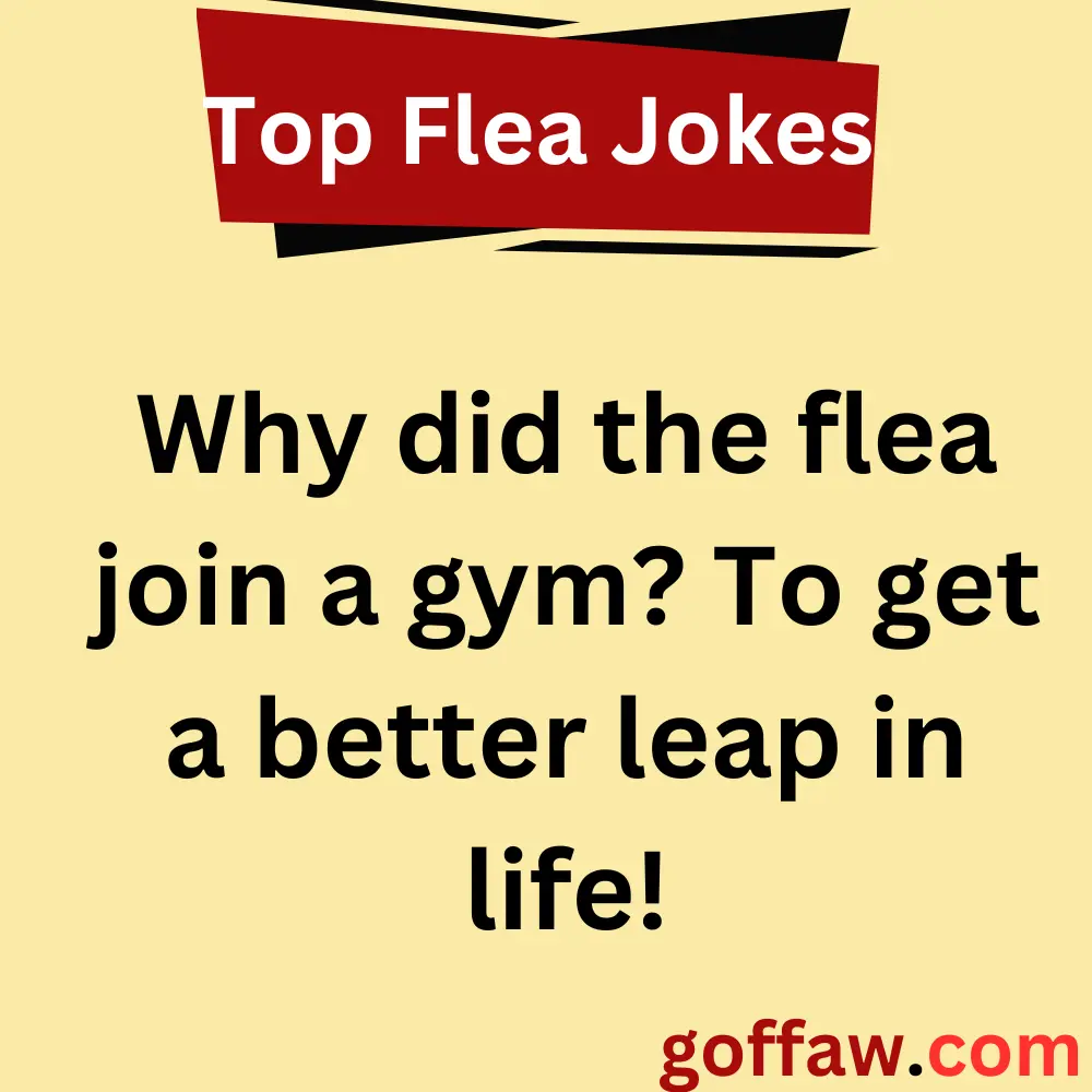 Top Flea Jokes