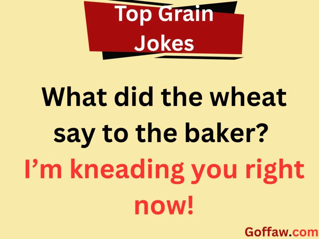 Top Grain Jokes
