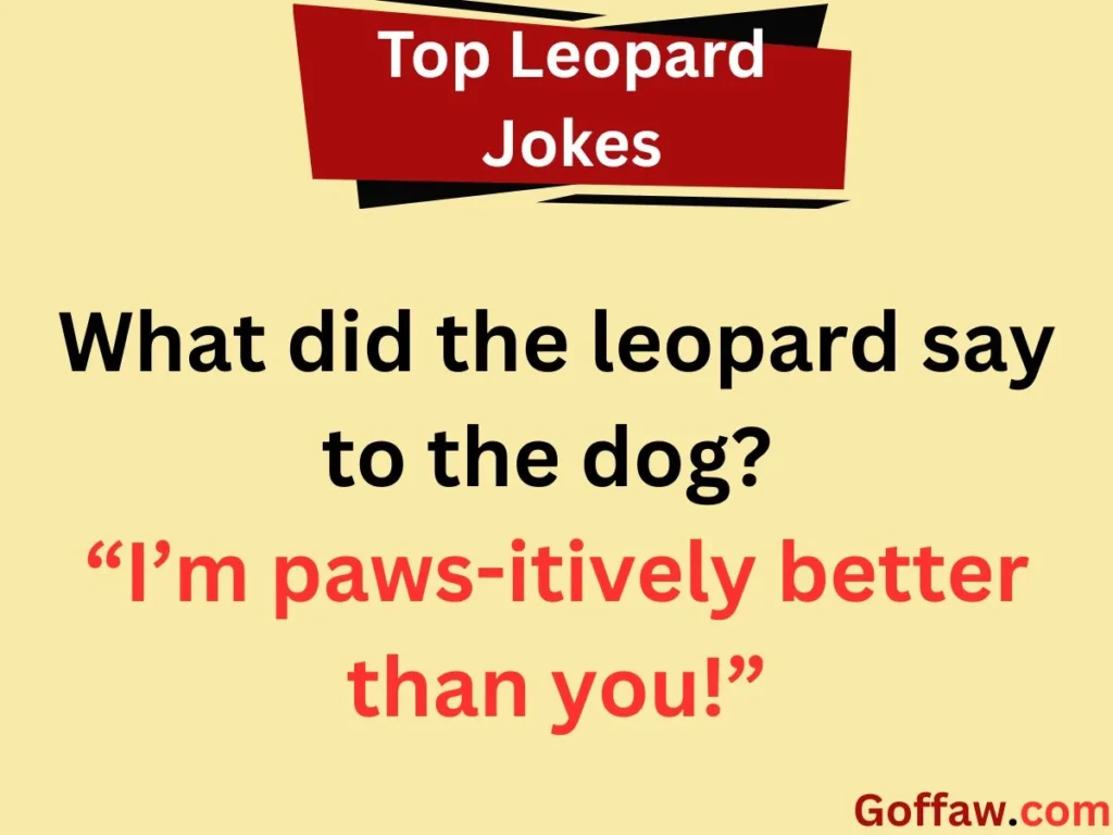 Top Leopard Jokes