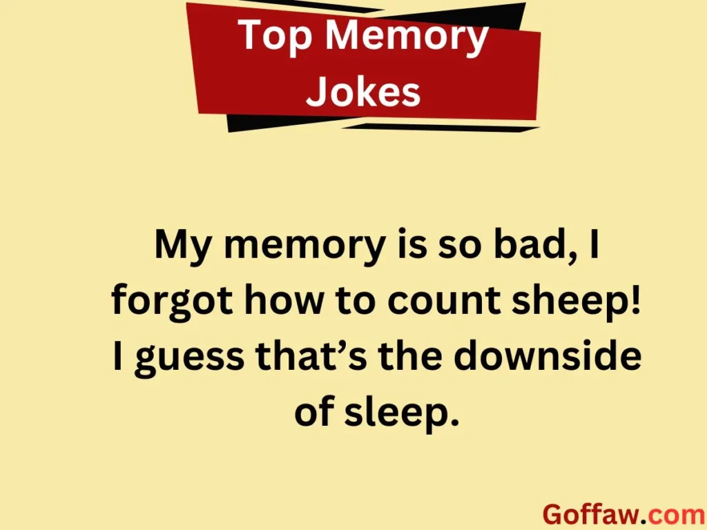 Top Memory Jokes