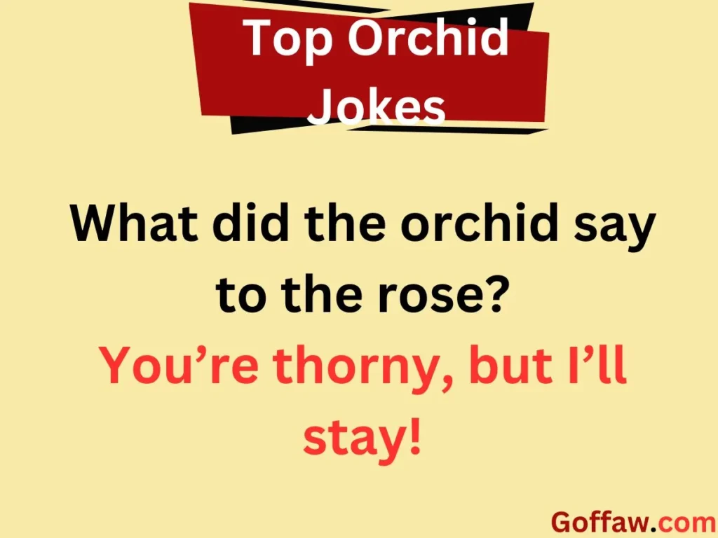 Top Orchid Jokes