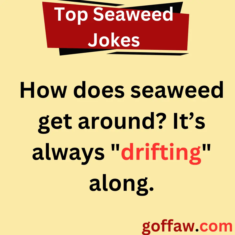 Top Seaweed Jokes