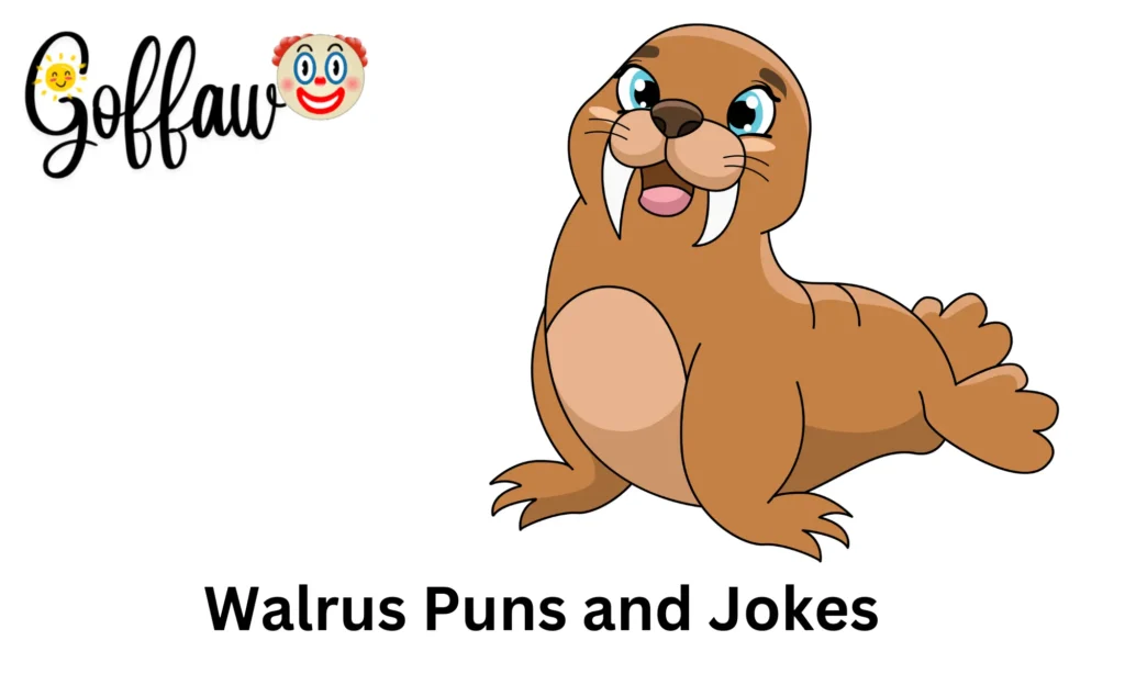 Walrus Puns and Jokes