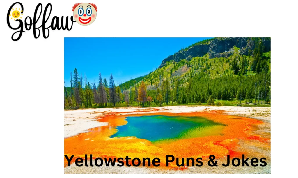 Yellowstone Puns & Jokes
