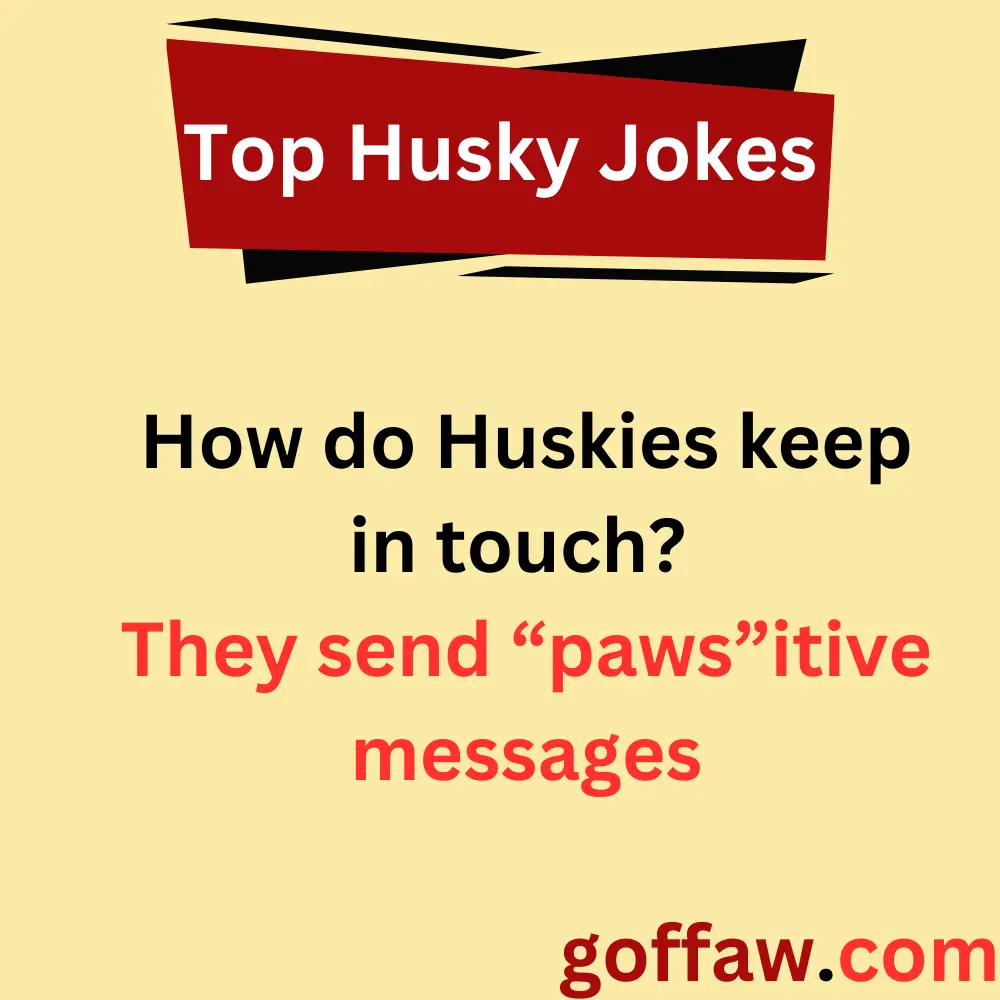 Top Husky Jokes