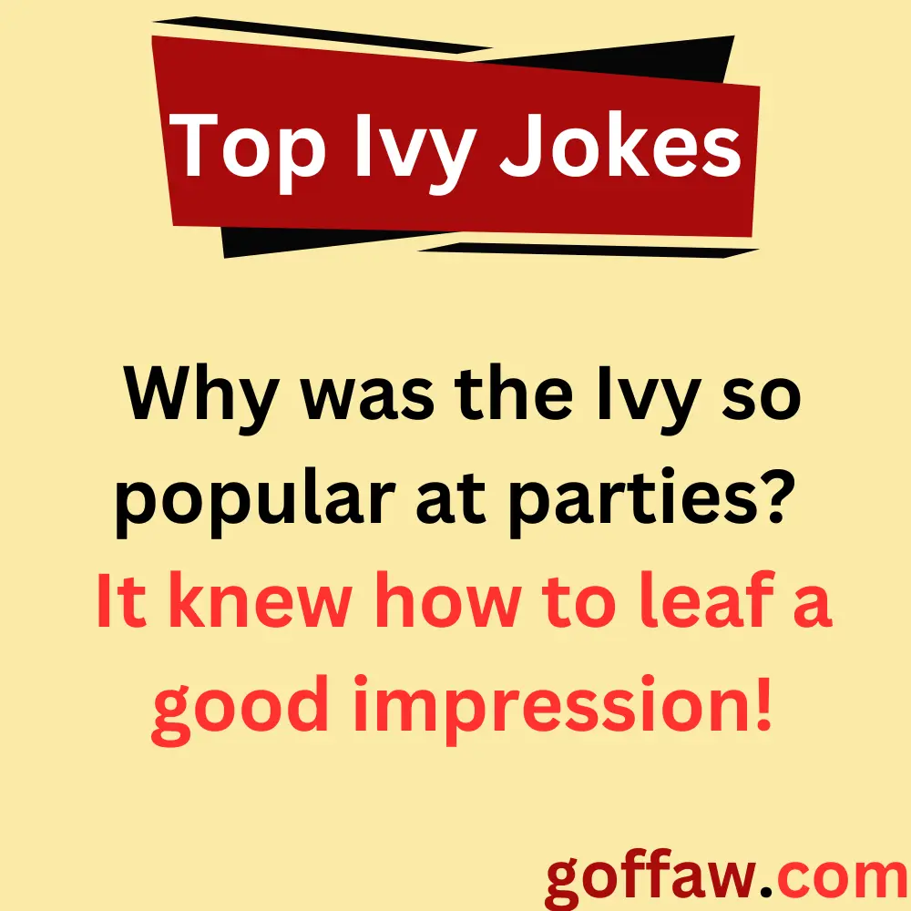 Top Ivy Jokes