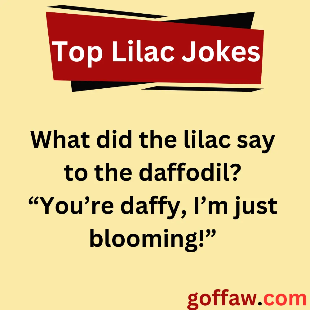Top Lilac Jokes